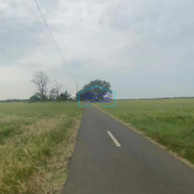 Dijual Tanah Kertajati Desa Kertasari Blok Karet Luas Tanah 4622m2-3