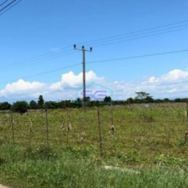 Dijual Tanah Kertajati Desa Kertasari Blok Karet Luas Tanah 4622m2-1