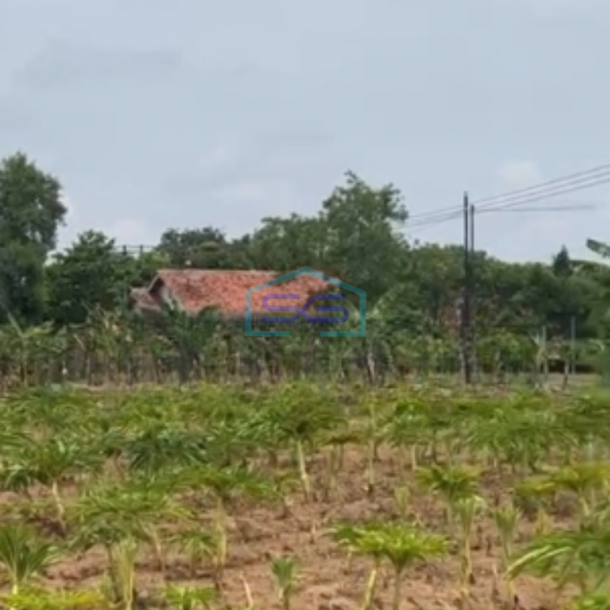 Dijual Tanah di Kertajati Jawa Barat Luas Tanah 30000 m²-3