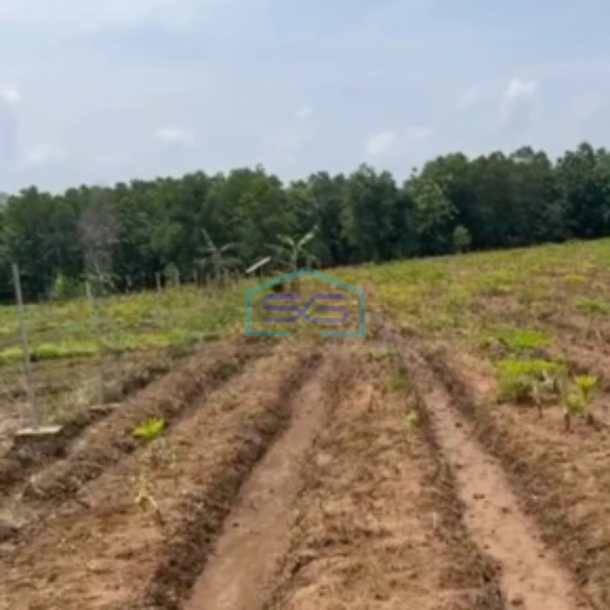 Dijual Tanah di Kertajati Jawa Barat Luas Tanah 30000 m²-1