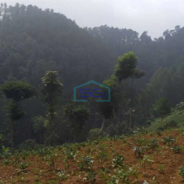 Dijual Tanah Siap Bangun Di Dago Ciburial Luas Tanah 2740 m²-3