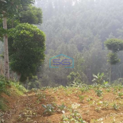 Dijual Tanah Siap Bangun Di Dago Ciburial Luas Tanah 2740 m²-2