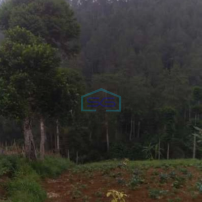 Dijual Tanah Siap Bangun Di Dago Ciburial Luas Tanah 2740 m²