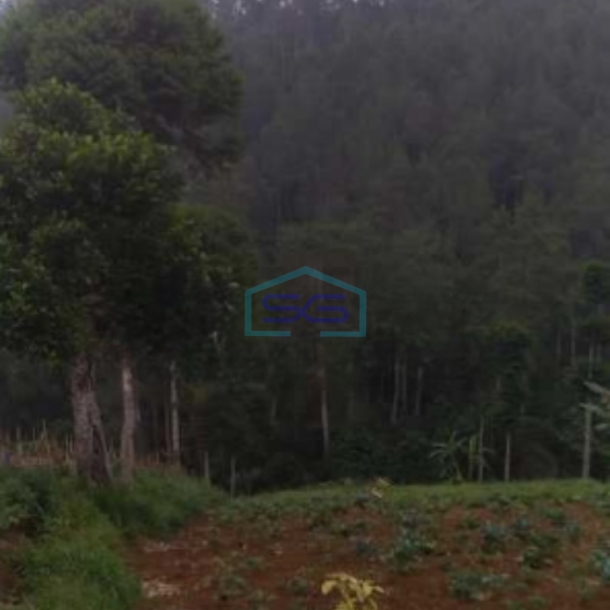 Dijual Tanah Siap Bangun Di Dago Ciburial Luas Tanah 2740 m²-1
