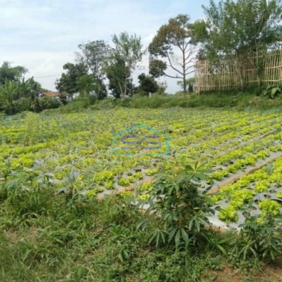 Dijual Tanah Cepat Di Katumiri Luas Tanah 3470 m² Bandung