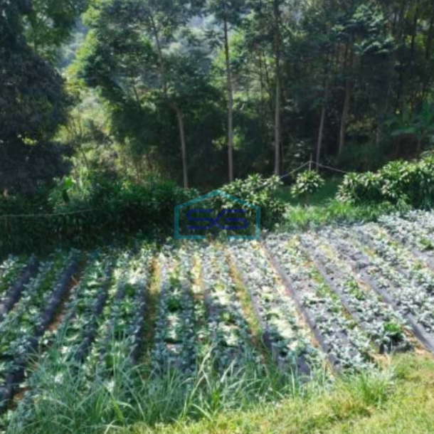 Dijual Tanah Di Lembang Sersan Bajuri Kavling Dekat Villa Lagenta-2