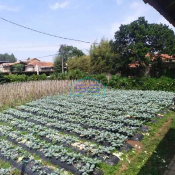 Dijual Tanah Di Lembang Sersan Bajuri Kavling Dekat Villa Lagenta-1