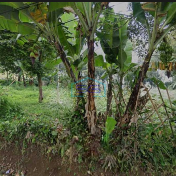 Disewakan Tanah DI Dago Pakar strategis Daerah Cafe Luas Tanah 2000 m²-3