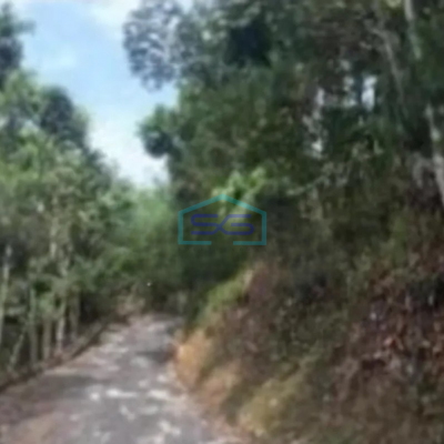 Dijual Tanah di Mekar Wangi Bandung Luas 50000m²