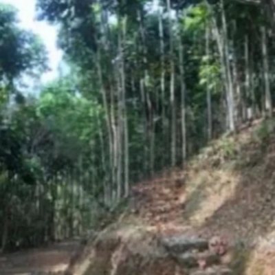 Dijual Tanah di Mekar Wangi Bandung Luas 50000m²