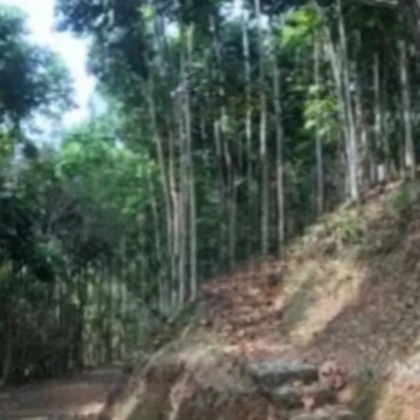 Dijual Tanah di Mekar Wangi Bandung Luas 50000m²-1