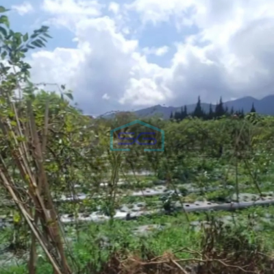 Dijual Tanah Kawasan Lembang Bandung Luas 8750m²