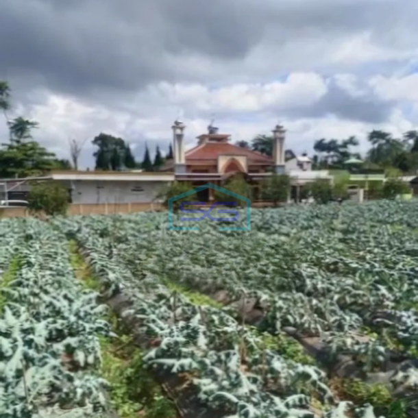 Dijual Tanah Kawasan Lembang Bandung Luas 8750m²-2