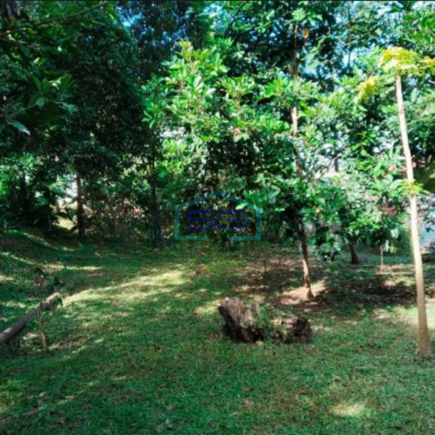 Disewakan Tanah Ciumbuleuit Kavling Dengan Kebun Didepan Unpar-3