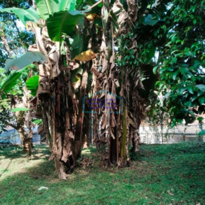 Disewakan Tanah Ciumbuleuit Kavling Dengan Kebun Didepan Unpar