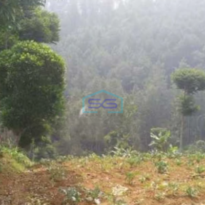 Dijual Tanah Potensial di Dago Bandung Luas 2740m²