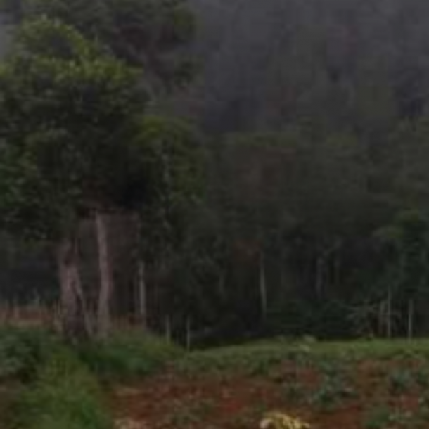 Dijual Tanah Potensial di Dago Bandung Luas 2740m²-2