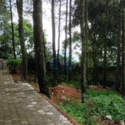 Disewakan Ruang Usaha di Ciumbuleuit Bandung Luas Bangunan 300 m²