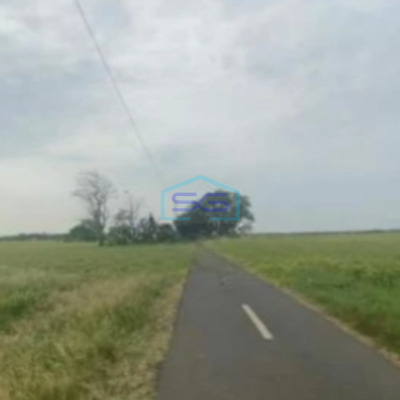 Dijual Tanah di Kertajati Majalengka Jawa Barat Luas 4622m²