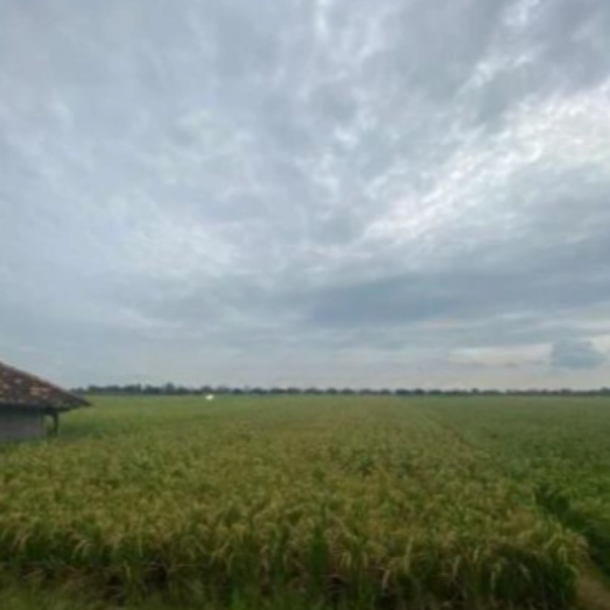 Dijual Tanah di Kertajati Majalengka Jawa Barat Luas 4622m²-1