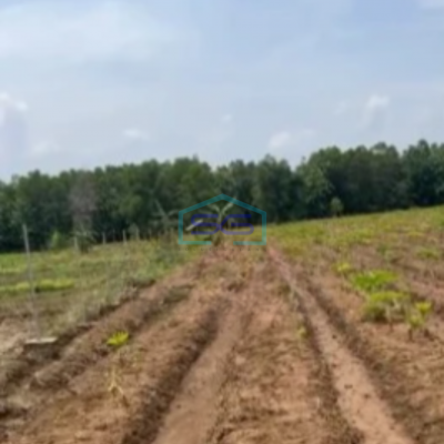 Dijual Tanah Kawasan Kertajati Jawa Barat Luas 30000m²