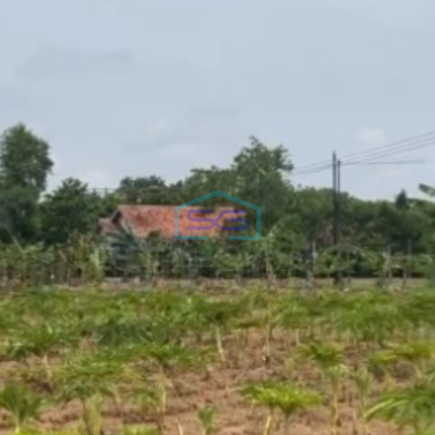 Dijual Tanah Kawasan Kertajati Jawa Barat Luas 30000m²-2