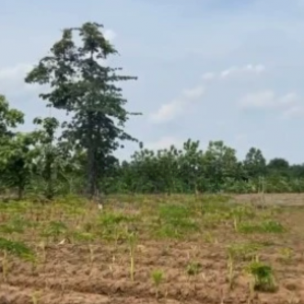 Dijual Tanah Kawasan Kertajati Jawa Barat Luas 30000m²-1