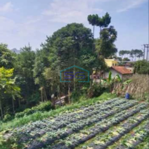 Dijual Tanah di Lembang Bandung Luas 6500m²-2