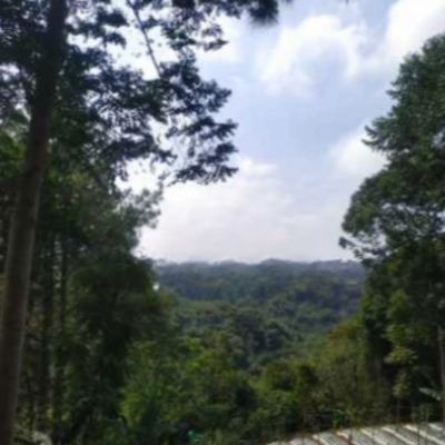 Dijual Tanah di Lembang Bandung Luas 6500m²