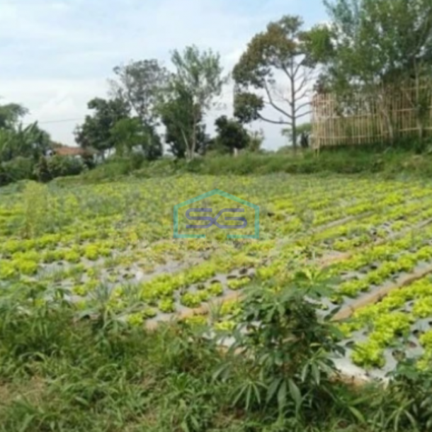 Dijual Tanah Strategis di Parongpong Bandung Luas 3470m²-2