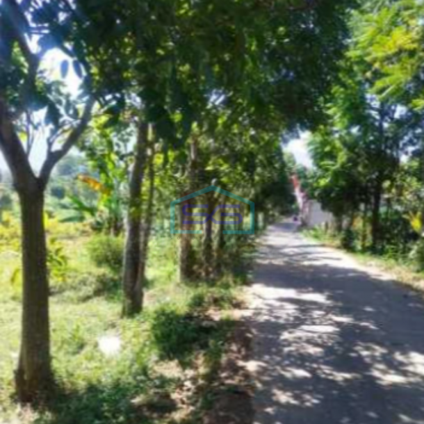 Dijual Tanah Kawasan Cileunyi Bandung Luas 2045m²-3