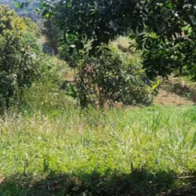 Dijual Tanah Kawasan Cileunyi Bandung Luas 2045m²