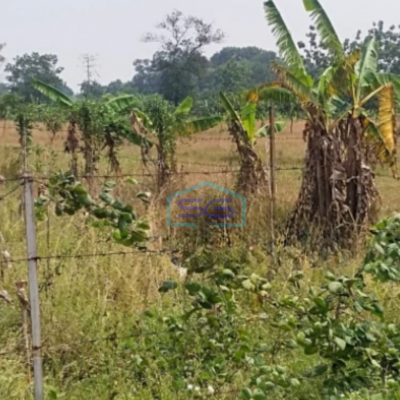 Dijual Tanah di Kertajati Jawa Barat Luas 28731m²