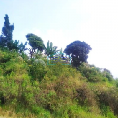 Dijual Tanah Kawasan Dago Bandung Luas 40000m²