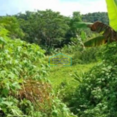 Dijual Tanah di Cibeber Jawa Barat Luas 19300m²