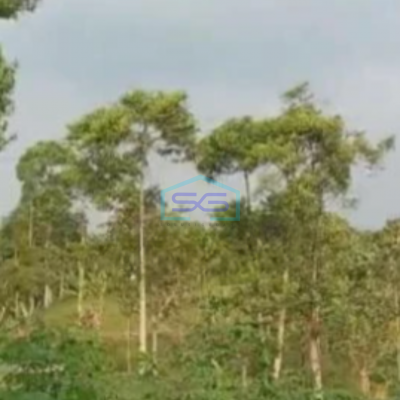 Dijual Tanah Komersial di Cibiru Bandung Luas 10000m²