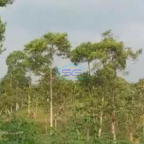 Dijual Tanah Komersial di Cibiru Bandung Luas 10000m²-2