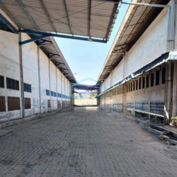 Disewakan Gudang Luas Tanah  12150 m² Lokasi Bebas Banjir dan Siap Huni di Surabaya-2