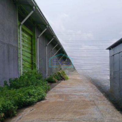 Disewakan Gudang Siap Pakai di Bayur Tangerang Luas Bangunan  1944 m²