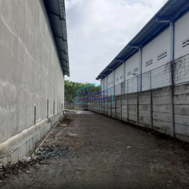 Disewakan Gudang Baru di Bayur Tangerang Luas Bangunan 1104m2-2