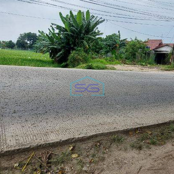 Dijual Tanah Posisi Strategis Jalan Utama Di Serang Cibarusah Cikarang LT 11000m2-1