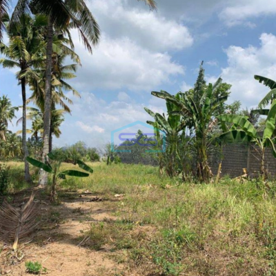 Dijual Tanah di Ubud Gianyar Luas Tanah 35000 m²