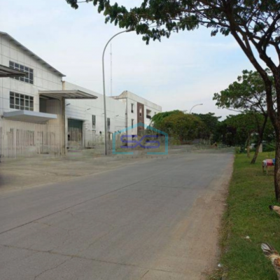 Dijual Gudang Rapih Bersih Siap Pakai Di Delta Silicon 3 Lippo Cikarang