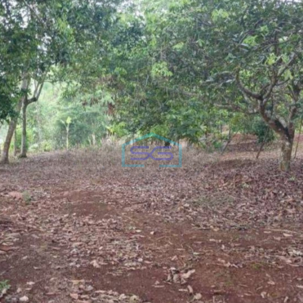 Dijual Tanah Lokasi Strategis di Subang Luas Tanah 500000 m²-1