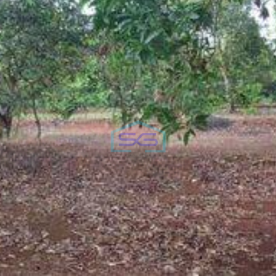 Dijual Tanah Lokasi Strategis Zona Industri Subang Jawa Barat Luas Tanah  500000 m²