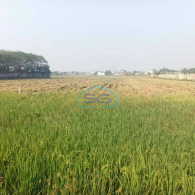 Dijual Tanah Lokasi Strategis Pinggir Jalan Raya Karawang Barat Luas Tanah  57000 m²-2