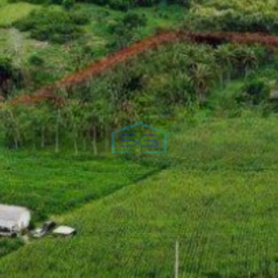 Dijual Tanah di Badung Bali Luas Tanah 60773 m² Lokasi Strategis