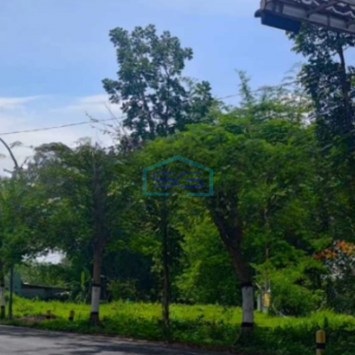 Dijual Tanah Luas 3000 m² Lokasi Strategis di Batu Jawa tengah