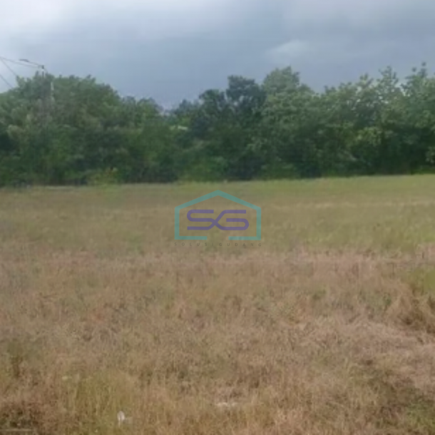 Dijual Tanah Luas  10445 m² Lokasi Bojonegoro Jawa Timur-1