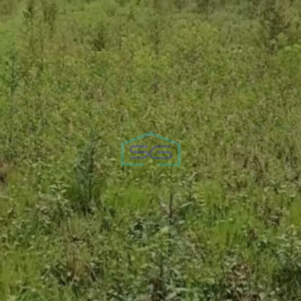 Dijual Tanah Luas 3090 m² Lokasi Strategis di Padangan Bojonegoro Jawa Timur-1